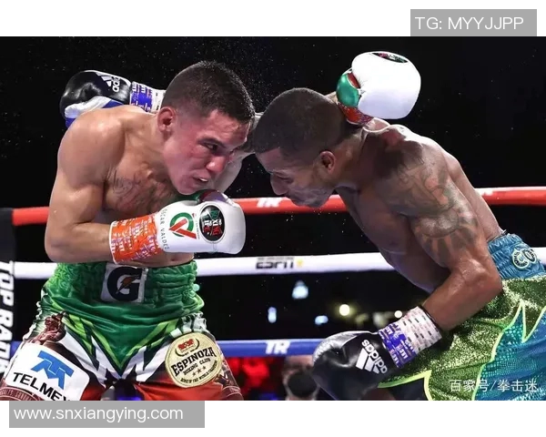 德国与法国比赛争议裁判判罚引发黑哨质疑的深度分析