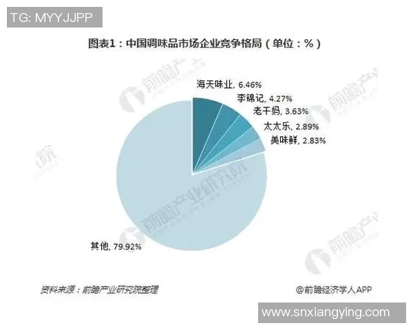 德国乙级联赛新赛季前瞻球队阵容分析与竞争态势解读