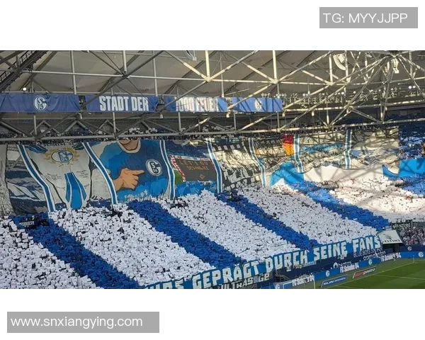 沙尔克04主场与云达不莱梅战平，保持不败记录