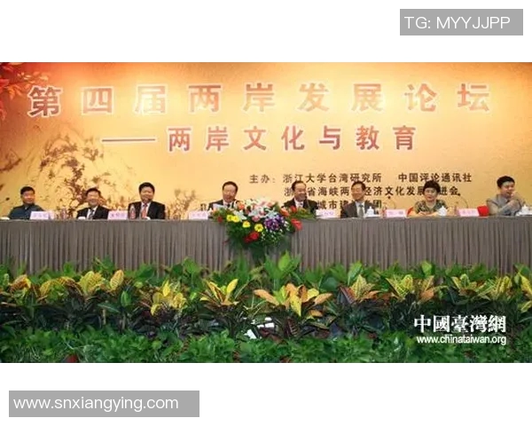 韩国与中国央视网的对比分析与文化交流探讨