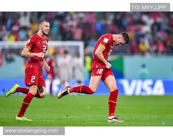 米林科维奇：欧洲杯持续得分，海斯特雷姆年度最佳球员的荣耀时刻