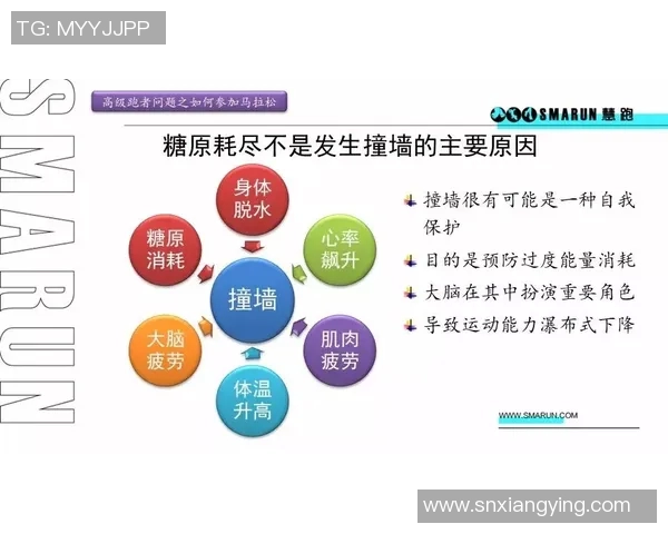 马拉松PB的含义解析及其对跑者的重要性探讨