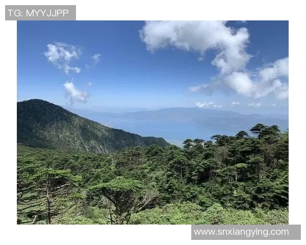 孔方来萃解太湖之谜探寻自然与人文的和谐共生