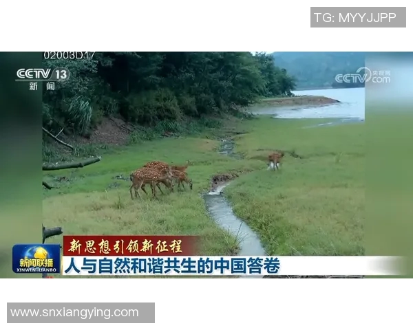 狼灭之际,探寻人类与自然的和谐共生之路 狼灭之际,探寻人类与自然的和谐共生之路