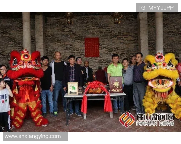 平舆一中足球比赛精彩视频直播全程回顾与精彩瞬间分享 平舆一中足球比赛精彩视频直播全程回顾与精彩瞬间分享