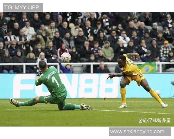 维尔贝克的足球之路与人生哲学探讨