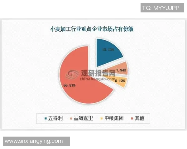 倪永康的政治生涯与影响力分析及其在当代中国的历史地位探讨