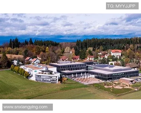 年轻人如何应对洛桑推迟带来的挑战与机遇 年轻人如何应对洛桑推迟带来的挑战与机遇