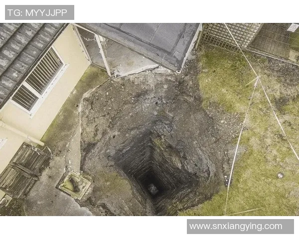 探索伯尔尼奇迹背后的秘密与启示，揭示其对现代社会的深远影响与启发