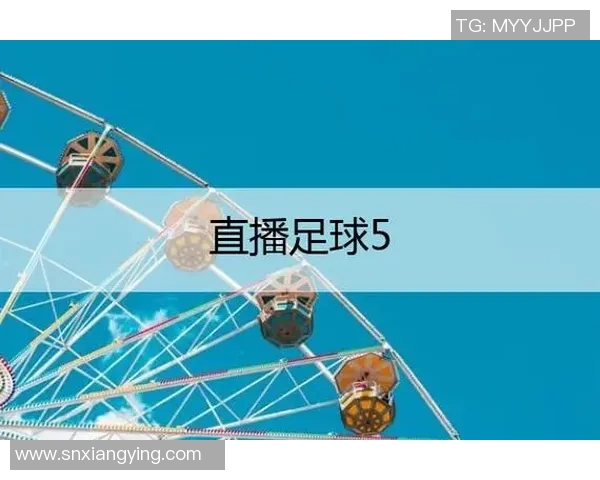 免费观看足球比赛的直播网站下载指南与推荐