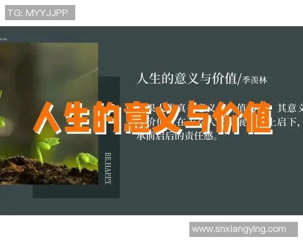 焦泊乔：在现代社会中追寻自我价值与人生意义的探索之旅