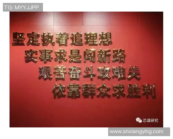 施密德的传奇人生与不屈精神：从平凡到卓越的奋斗之路