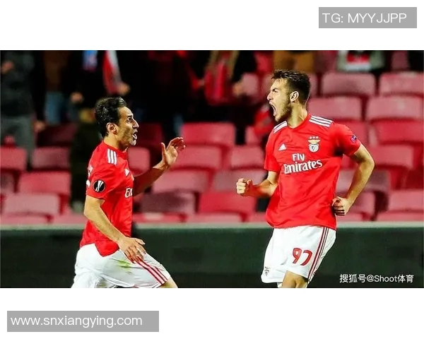 里斯本竞技主场的魅力与激情探索足球文化的独特体验